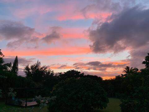 North Shore Garden Suite Haleiwa Exteriör bild