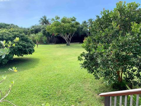 North Shore Garden Suite Haleiwa Exteriör bild